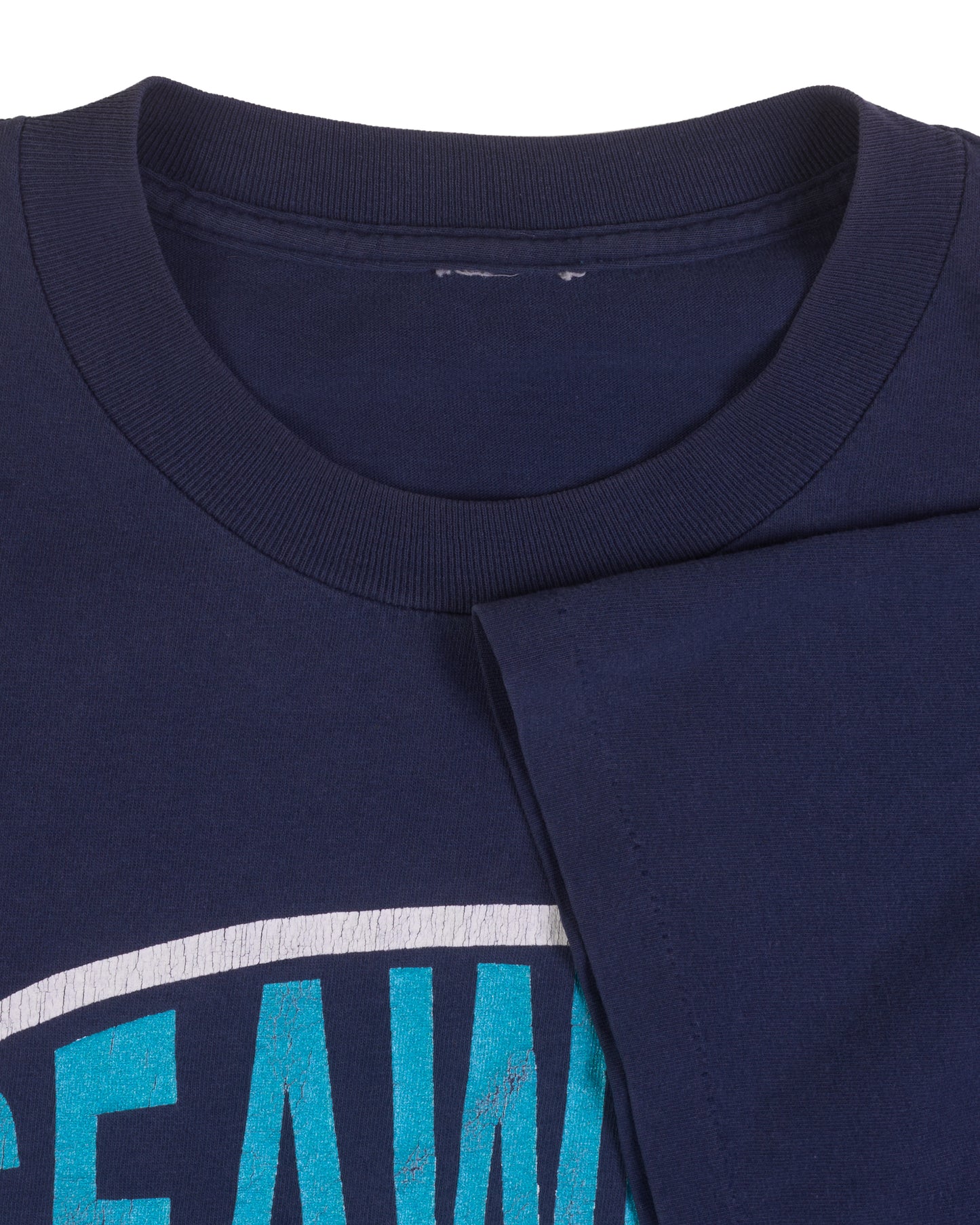 Vintage 90’s Seaweed Visualize Tacoma T-Shirt