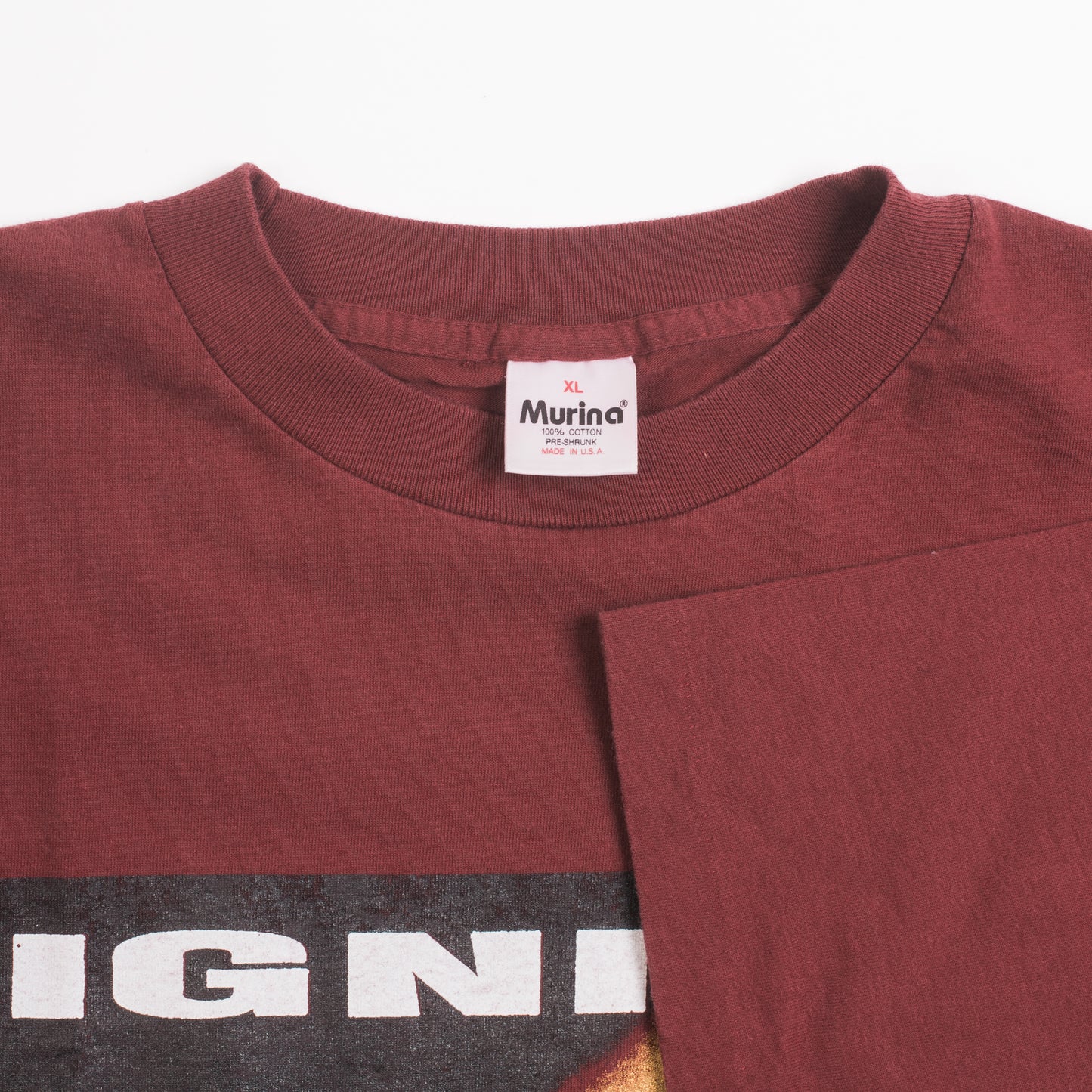 Vintage 1995 Ignite Call On My Brothers Tour T-Shirt