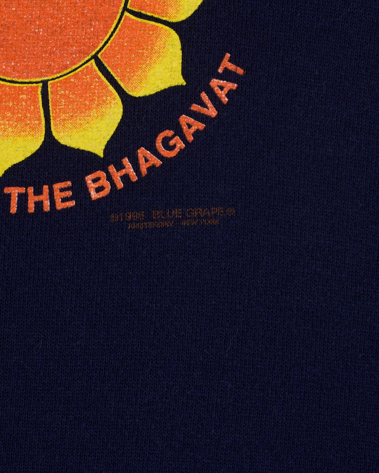 Vintage 1998 Shelter Message Of Bhagavat Hoodie