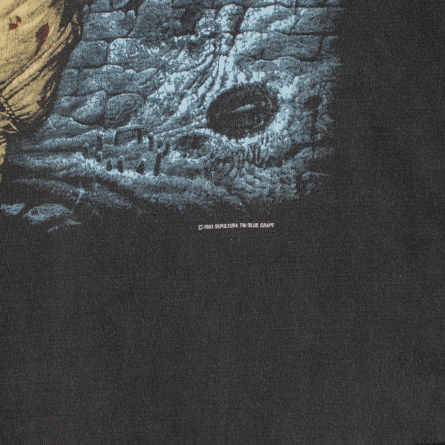 Vintage 1994 Sepultura Chaos AD Australian Tour Longsleeve
