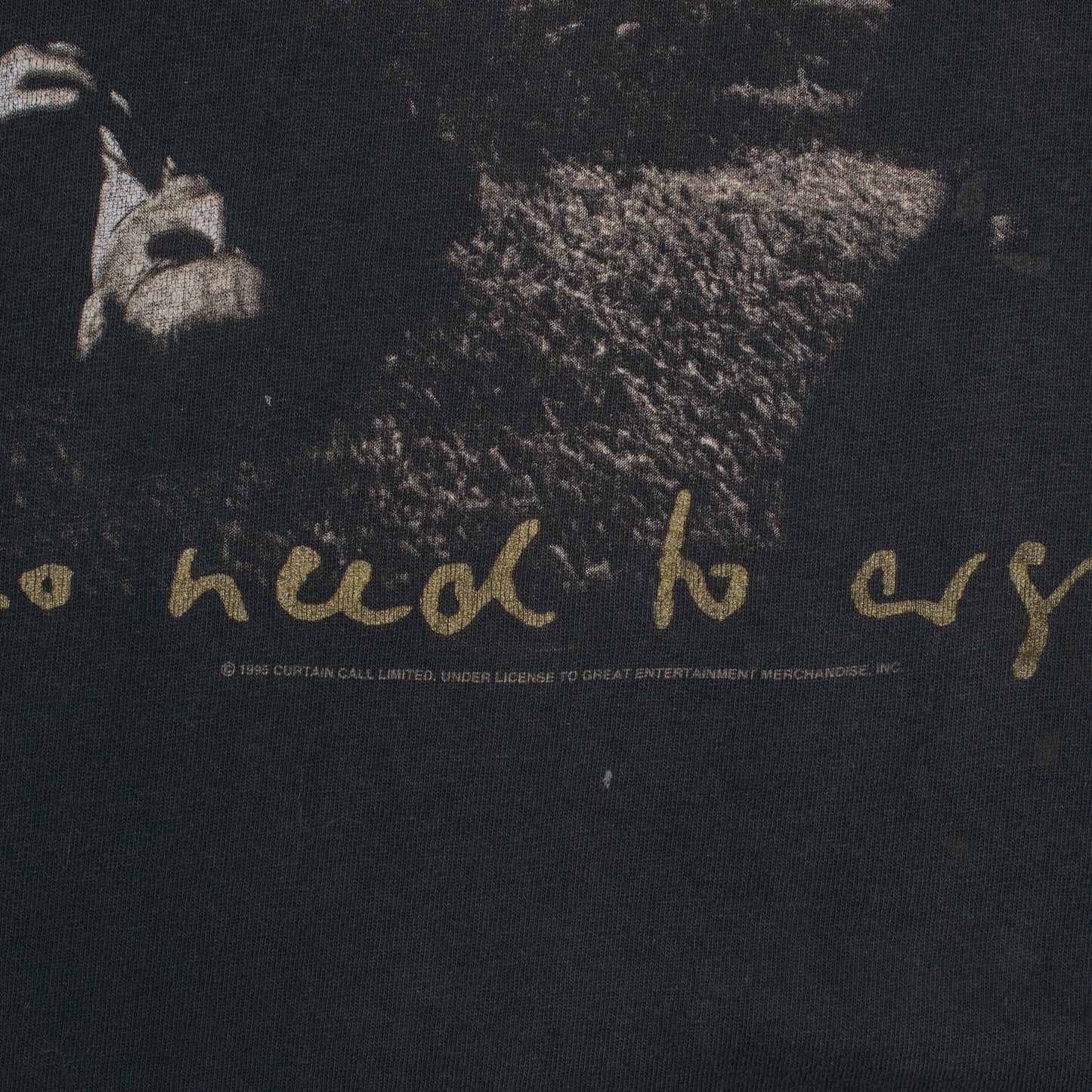 Vintage 1995 The Cranberries No Need To Argue Tour T-Shirt