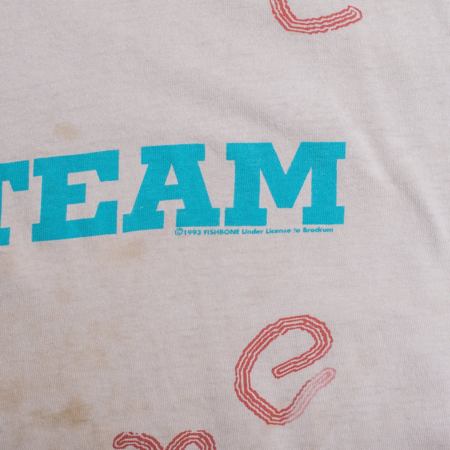 Vintage 1993 Fishbone Swim Team T-Shirt