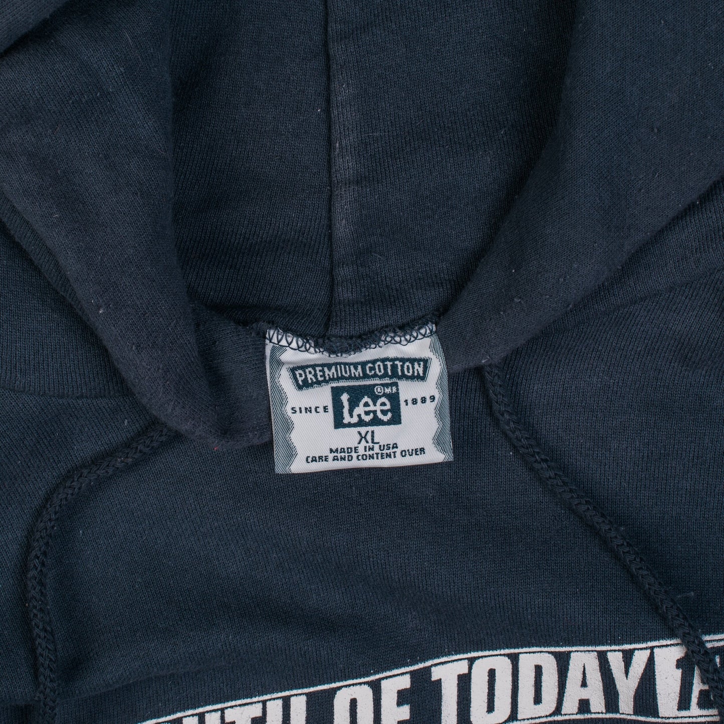 Vintage 1999 Youth Of Today Reunion Show Hoodie
