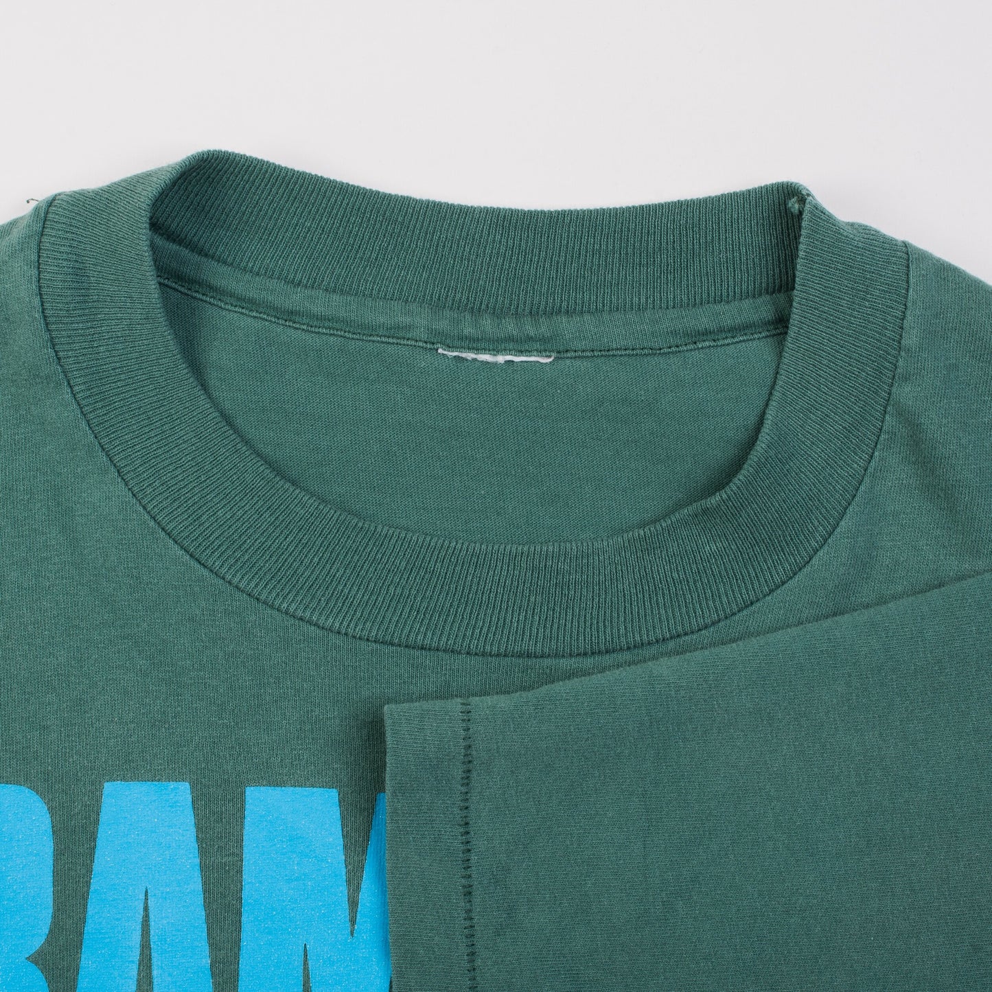 Vintage 90’s Ramones The Final Tour T-Shirt