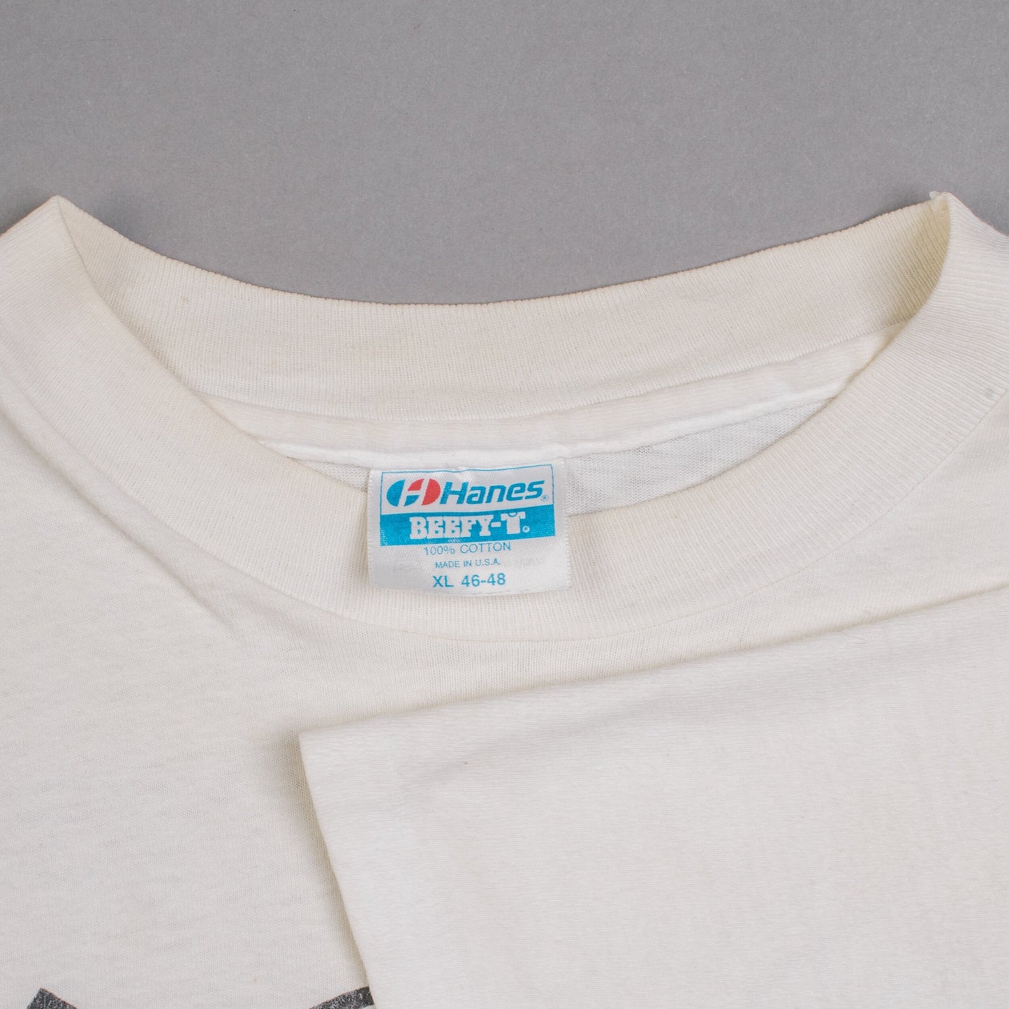 Vintage 90’s Walk Proud Can’t Stop Now T-Shirt