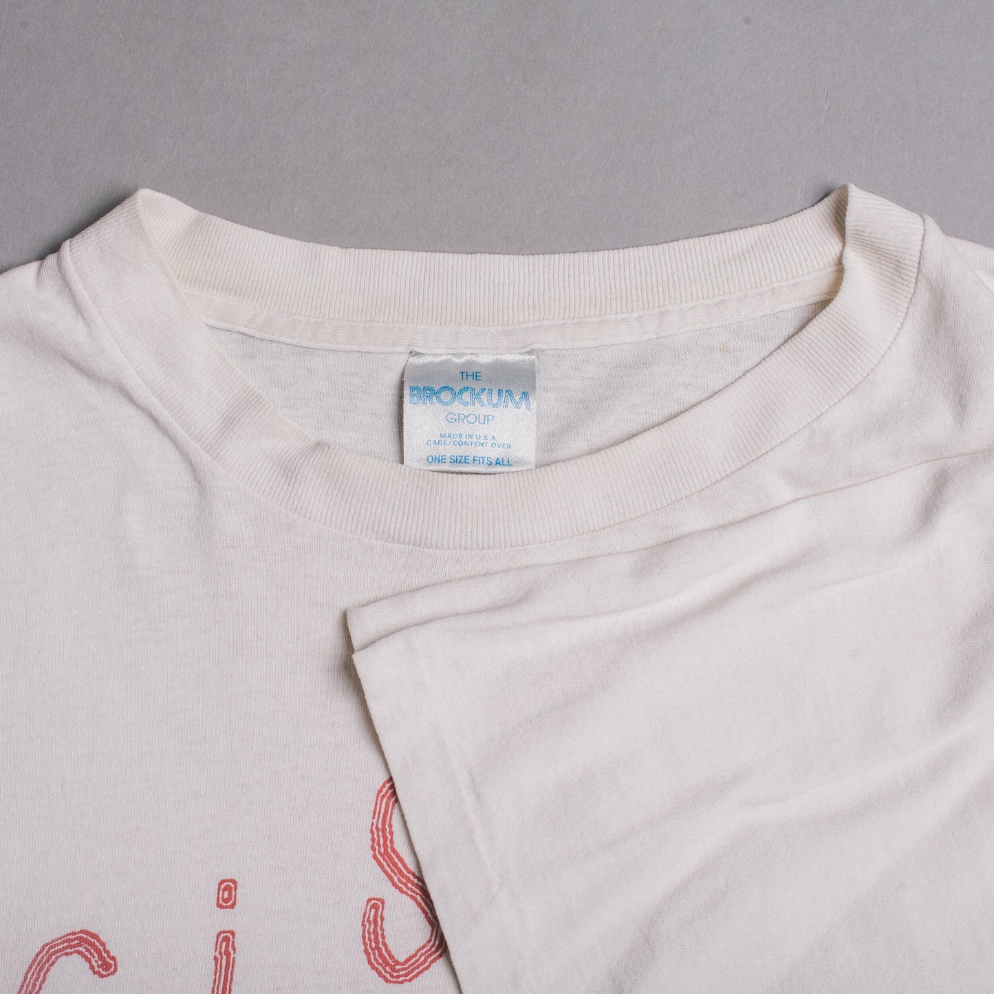 Vintage 1993 Fishbone Swim Team T-Shirt