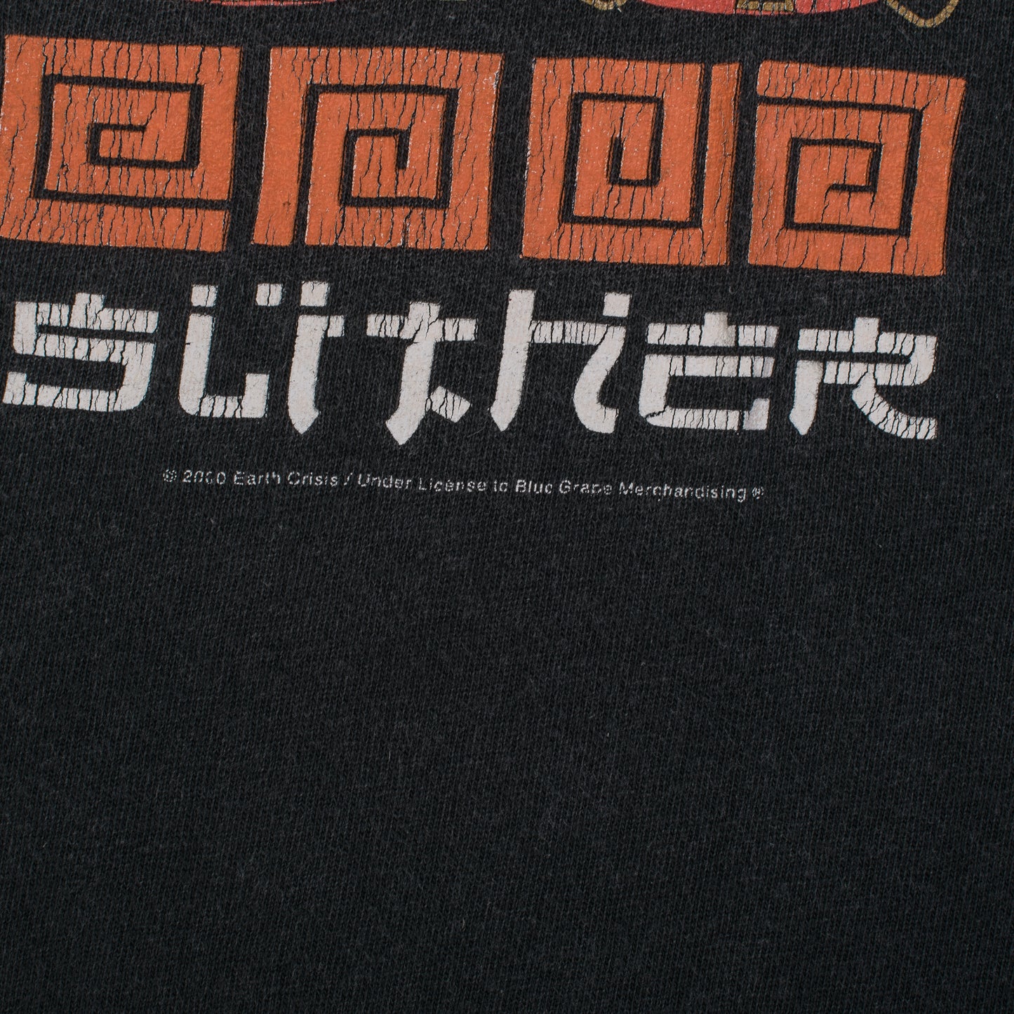 Vintage 2000 Earth Crisis Slither T-Shirt