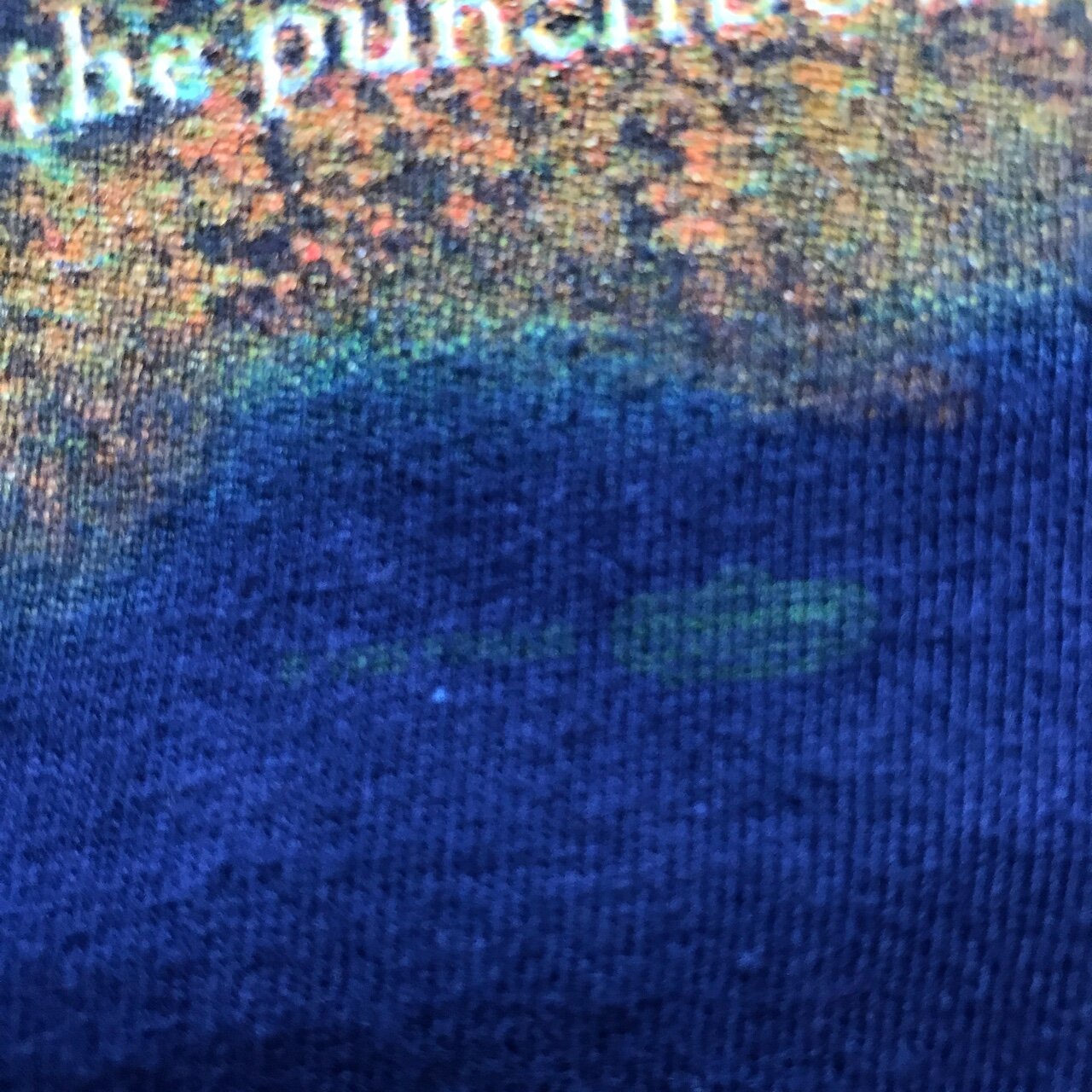 Vintage 90’s Primus Tales From the Punchbowl Tour T-Shirt