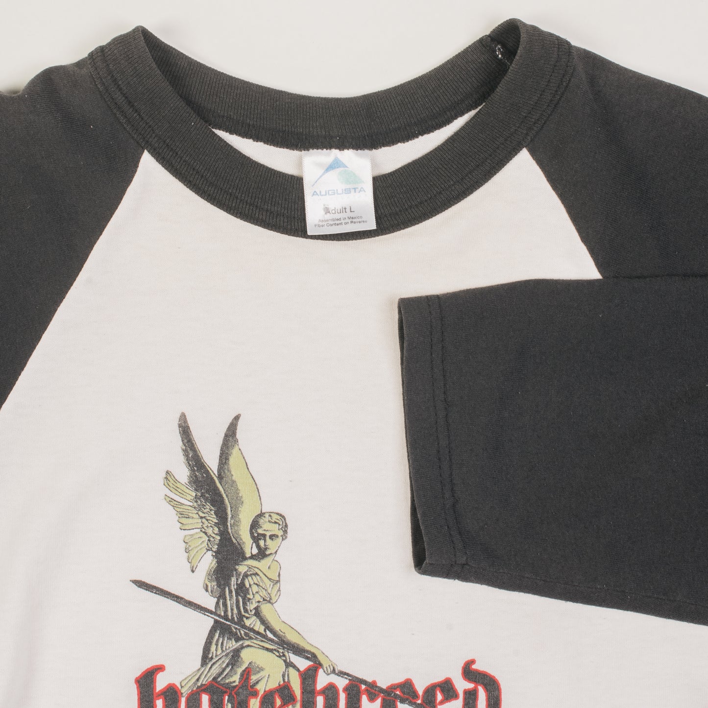 Vintage Hatebreed Healing To Suffer Again Raglan