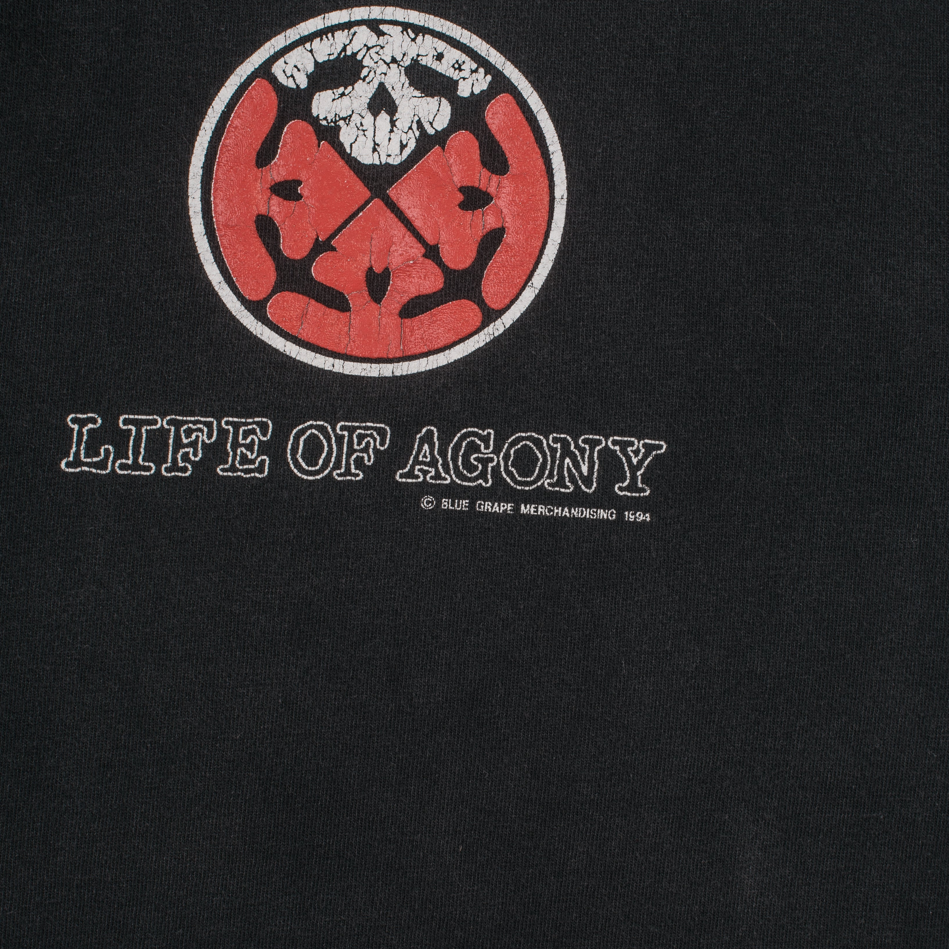 Vintage Life Of Agony 