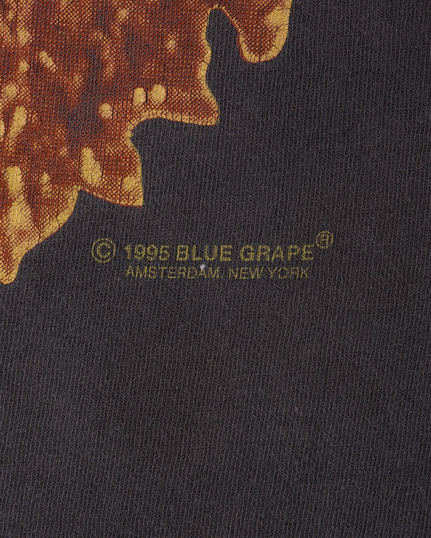 Vintage 1995 Deicide Behind The Light T-Shirt