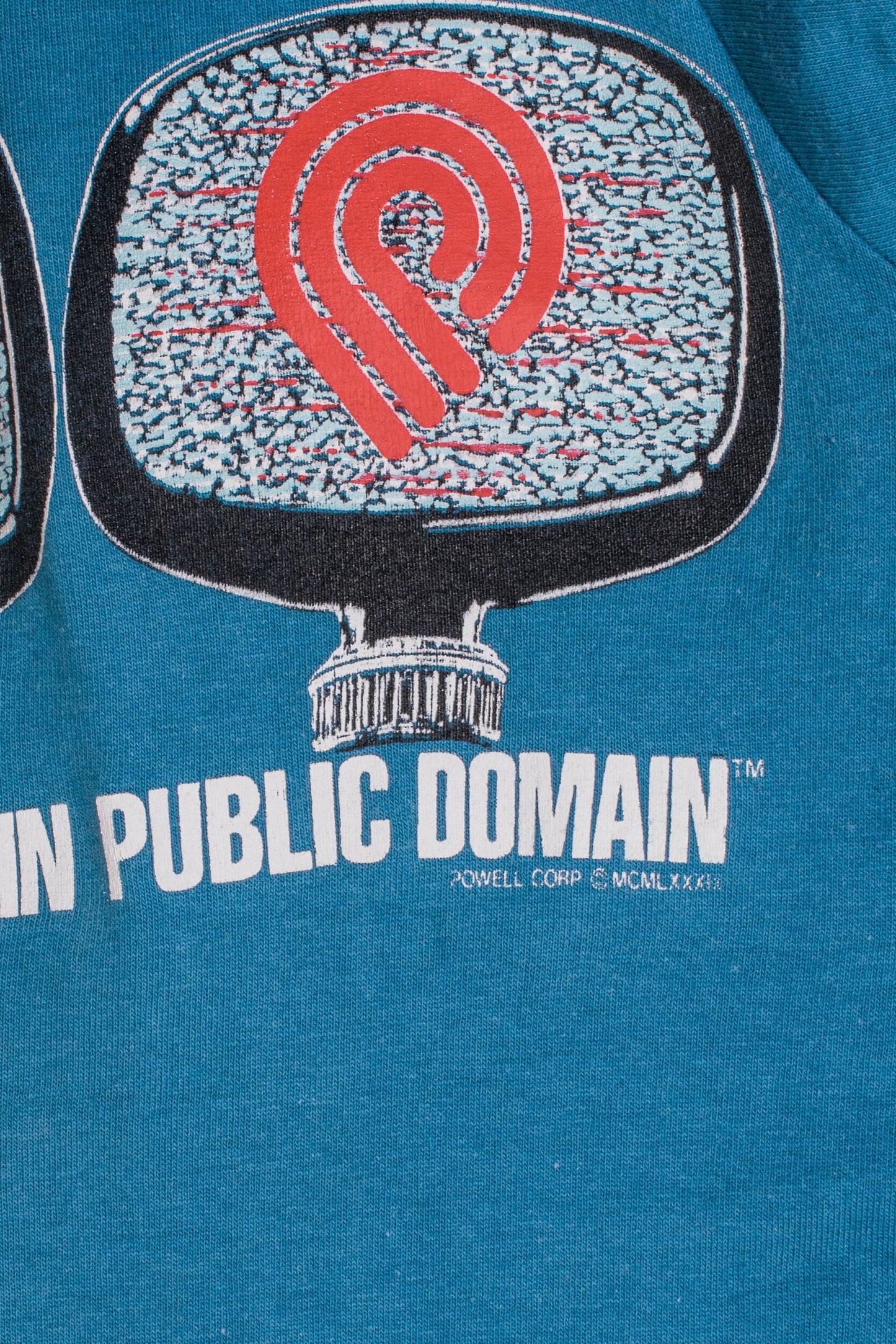 Vintage 1989 Powell Peralta Public Domain T-Shirt