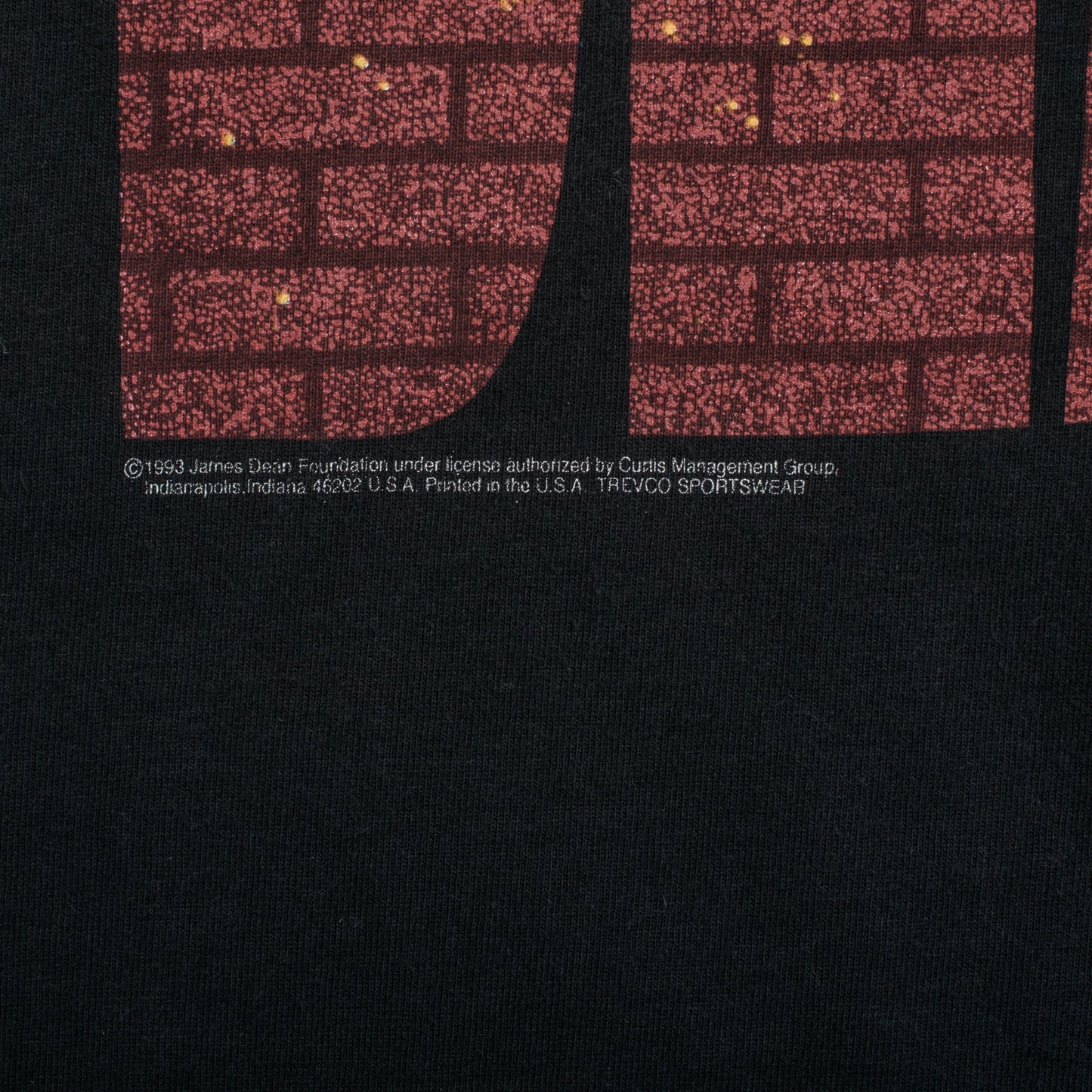 Vintage 1993 James Dean T-Shirt